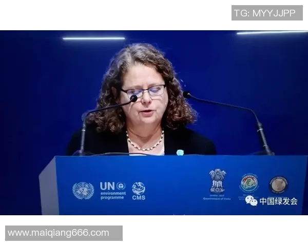 欧美足球明星的魅力与影响力探讨及其受欢迎原因分析