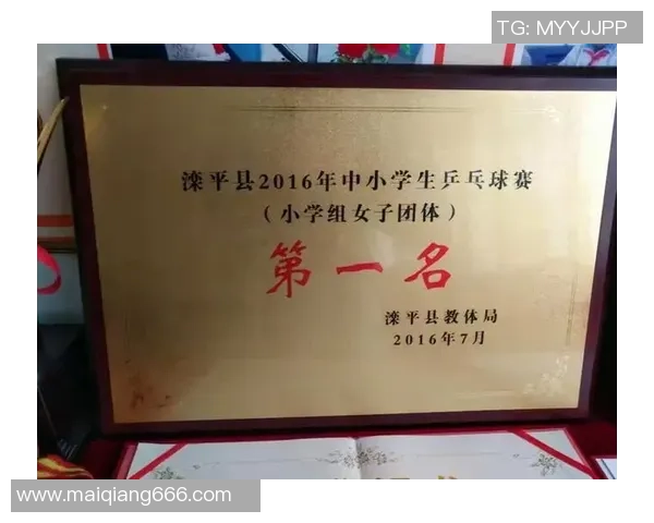 深圳乒乓球队在全国耐力排行榜中荣获第八名的骄人成绩