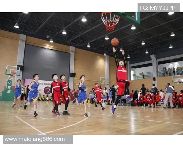 西安篮球队实力强劲荣登全国个人能力排行榜第二名