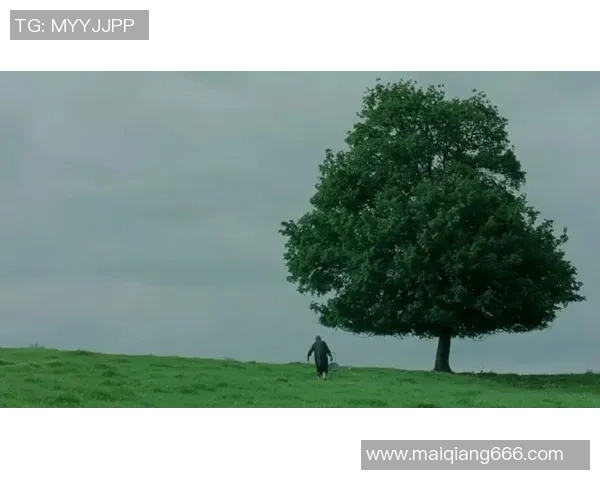 追忆去年离世的足球明星们他们的传奇与影响永存于世 追忆去年离世的足球明星们他们的传奇与影响永存于世