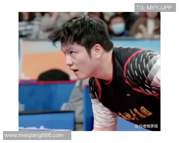 乒乓球热点:解读上海乒乓球队的盯防 乒乓球热点:解读上海乒乓球队的盯防