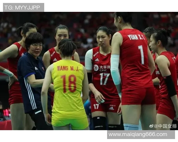 排球节奏排名：成都排球队创新高