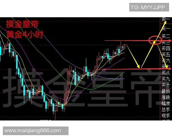 独家分析：V5的战术对比