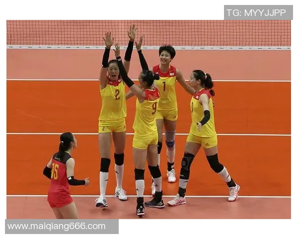 排球专题：聚焦成都排球队的状态